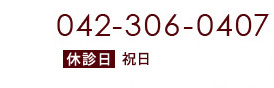 042-306-0407 休診日 祝日