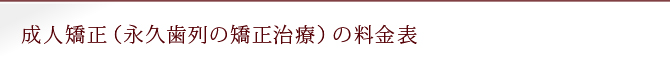 成人矯正（永久歯列の矯正治療）の料金表